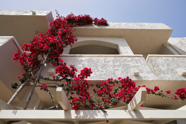 Mila Malia Studios Exterior Views XIV